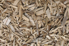 biomass boilers Rake